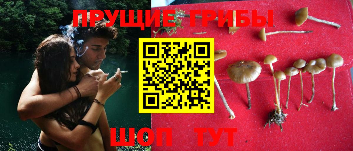 Галлюциногенные грибы мухоморы  Вход с VPN  закладки  Павлово 